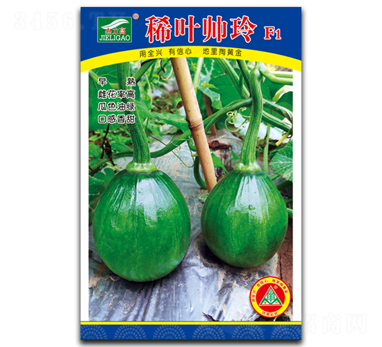 稀葉帥玲-小青瓜種子-全興種業(yè)