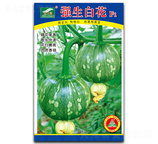 強(qiáng)生白花-小青瓜種子-全興種業(yè)