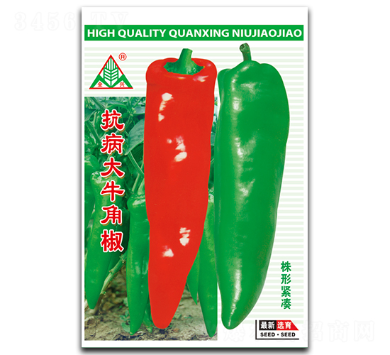 抗病大牛角椒-牛角椒種子-全興種業(yè)
