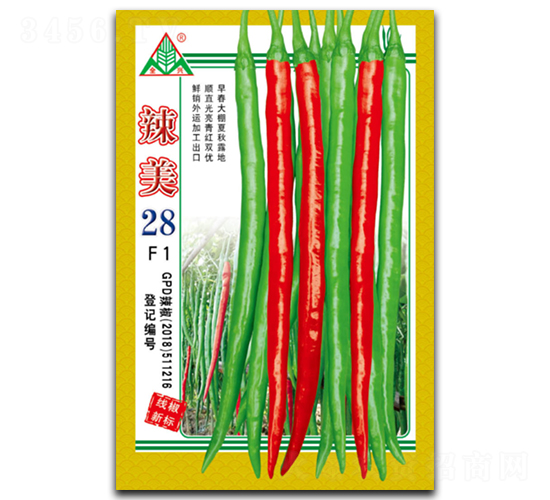 辣美28-線椒種子-全興種業(yè)