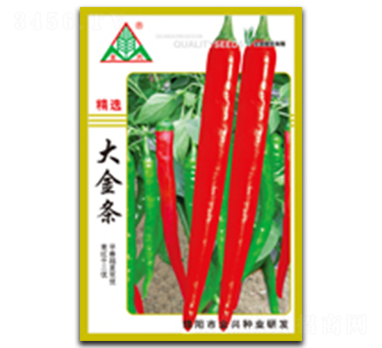 大金條-線椒種子-全興種業(yè)