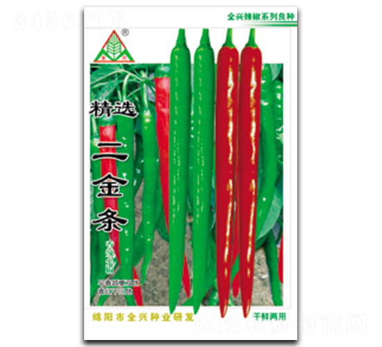 二金條-線椒種子-全興種業(yè)