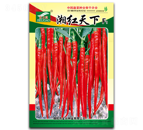 湘紅天下-線椒種子-全興種業(yè)