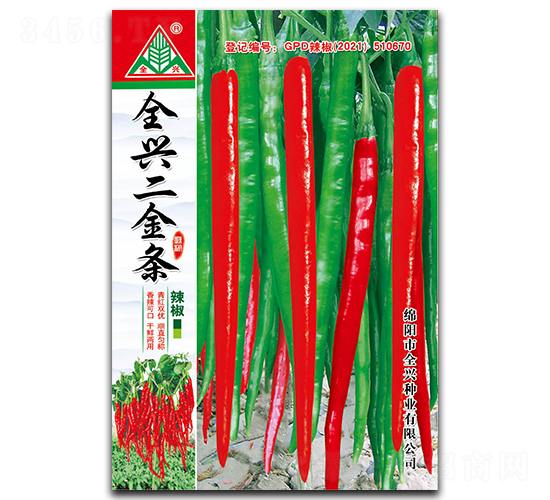 全興二金條-線椒種子-全興種業(yè)