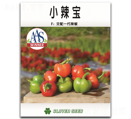 小辣寶-辣椒種子-克勤種子