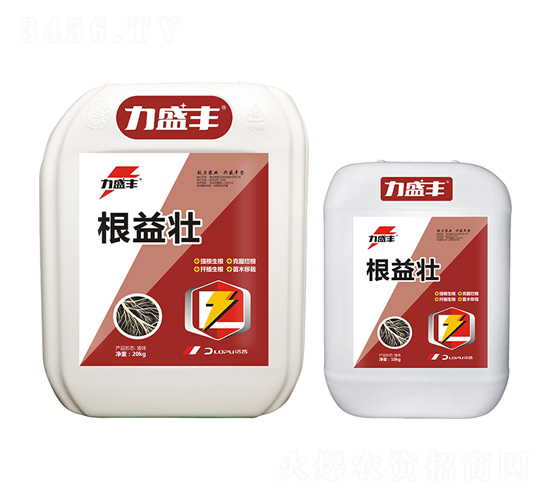 根益壯-力盛豐-洛普農業(yè)