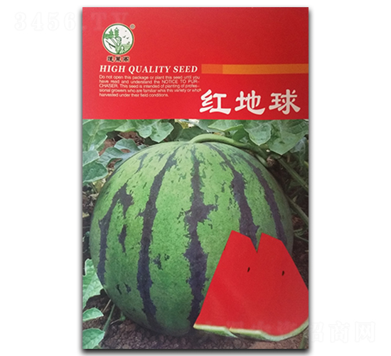 紅地球-西瓜種子-鳳凰種業(yè)