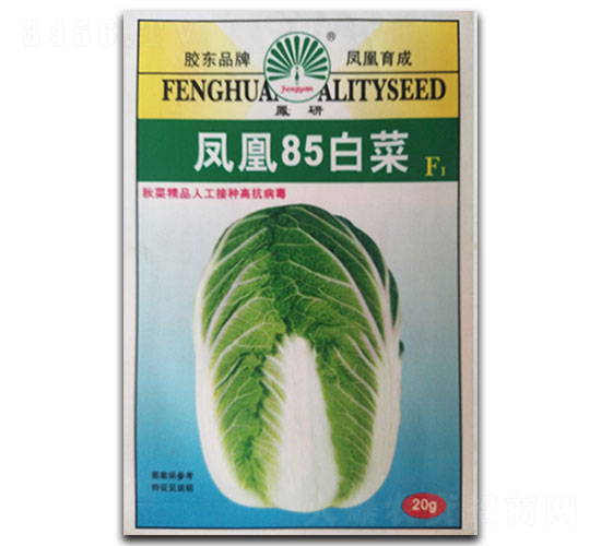 鳳凰85-白菜種子-鳳凰種業(yè)