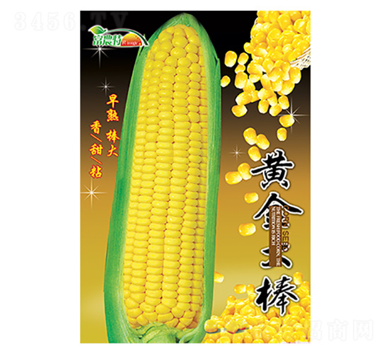 玉米種子-黃金大棒-科星
