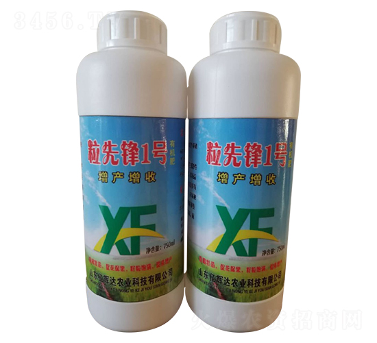 粒先鋒1號-億輝達