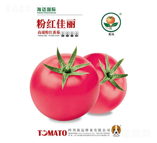 粉紅佳麗-番茄種子-海邁國(guó)際
