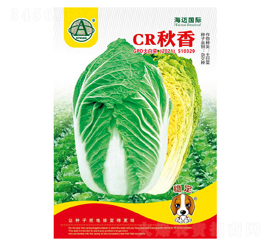 CR秋香-大白菜種子-海邁國際