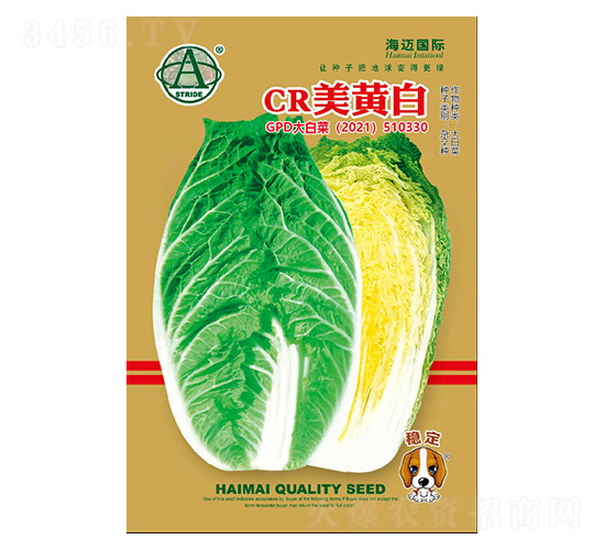 CR美黃白-大白菜種子-海邁國(guó)際