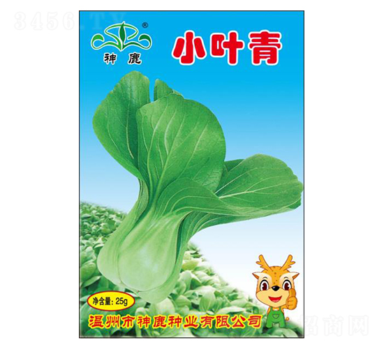 小葉青-青梗菜種子-神鹿種業(yè)