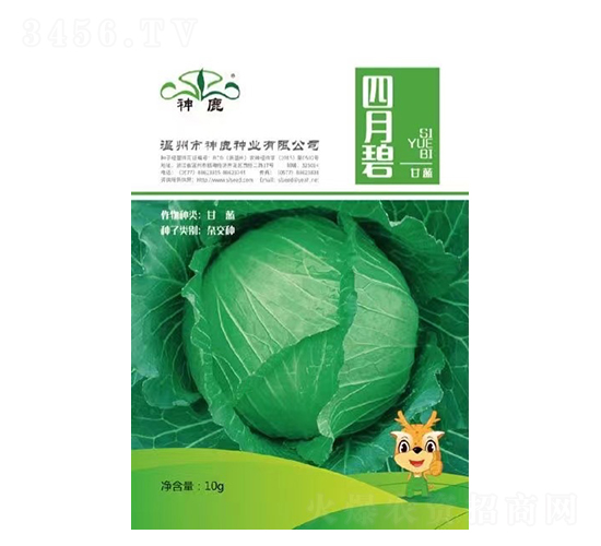 四月碧甘藍種子-神鹿種業(yè)