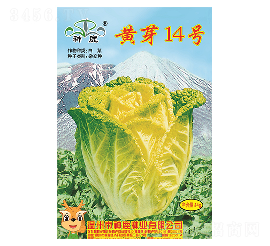 黃芽14號(hào)白菜種子-神鹿種業(yè)