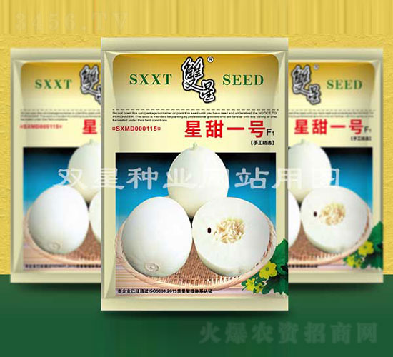 星甜一號(hào)-甜瓜種子-雙星種業(yè)