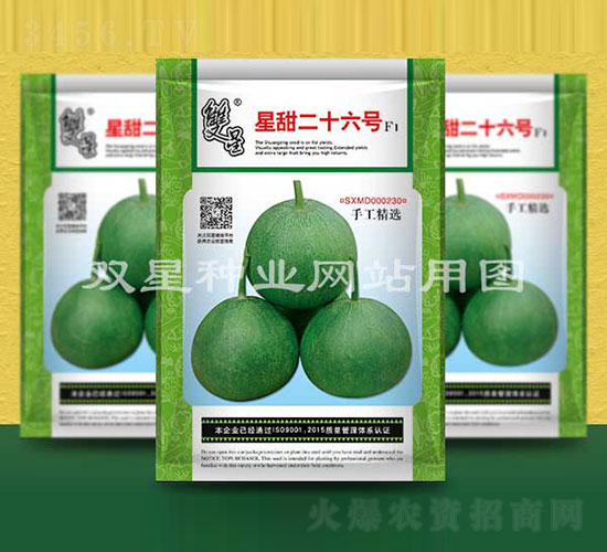 星甜二十六號-甜瓜種子-雙星種業(yè)