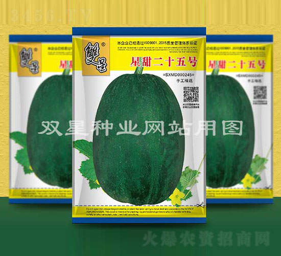 星甜二十五號(hào)-甜瓜種子-雙星種業(yè)