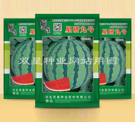 星研九號-西瓜種子-雙星種業(yè)