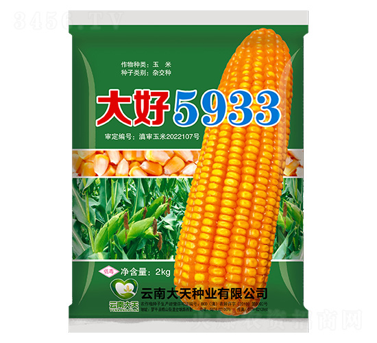 玉米種子-大好5933-大天種業(yè)