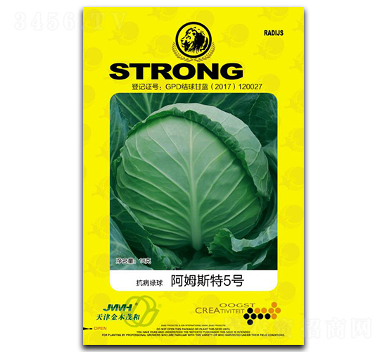 阿姆斯特5號-甘藍(lán)種子-金木茂和