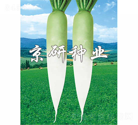 2̖(ho)-}N-зNI(y)