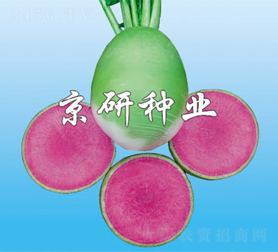 2̖(ho)ͣ-}N-зNI(y)