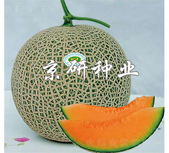 4̖-ϷN-зNI(y)