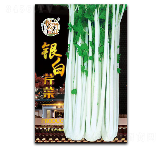 銀白芹菜種子-怡妍農(nóng)業(yè)