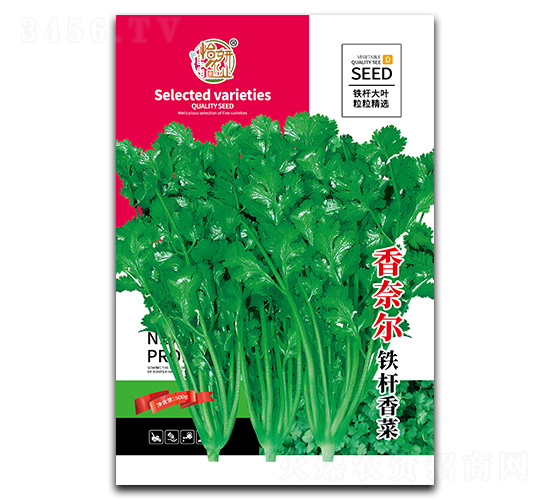 香奈兒鐵桿香菜種子-怡妍農(nóng)業(yè)