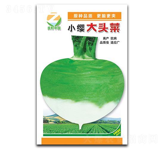 小纓大頭菜種子-良籽農(nóng)業(yè)
