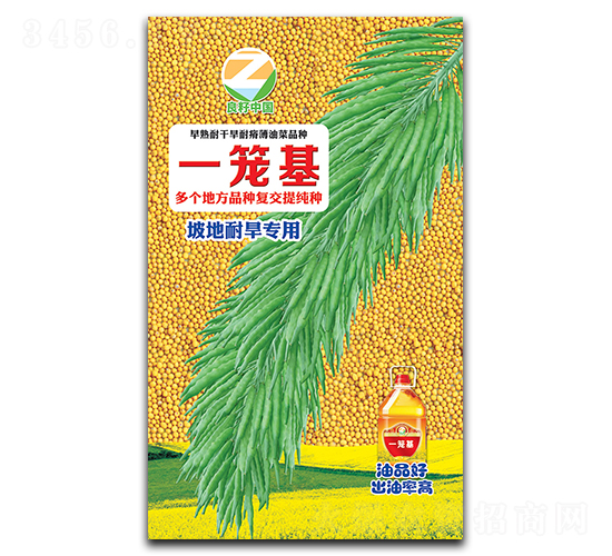一籠基-油菜種子-良籽農(nóng)業(yè)