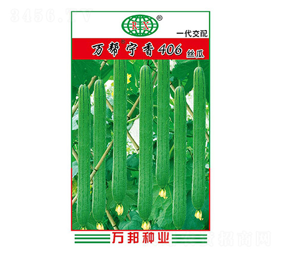 萬(wàn)幫寧香406絲瓜種子-萬(wàn)邦種業(yè)
