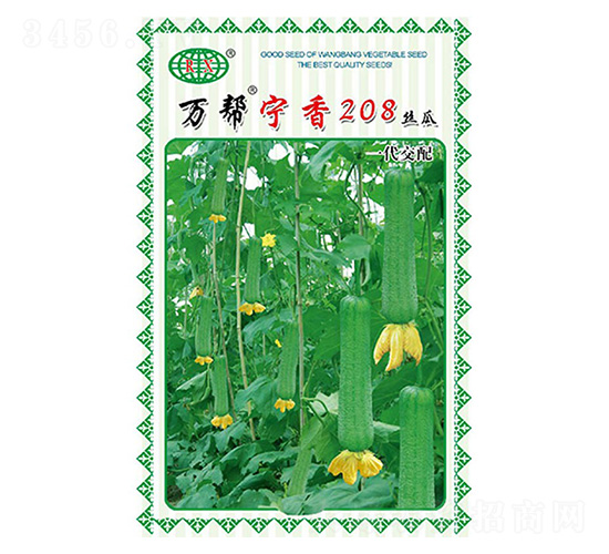 萬幫寧香208絲瓜種子-萬邦種業(yè)
