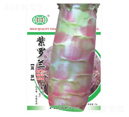 紫羅蘭萵筍-萵筍種子-萬(wàn)邦種業(yè)
