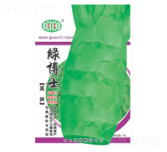 綠博士萵筍-萵筍種子-萬邦種業(yè)