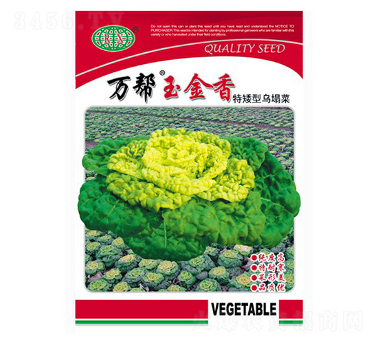 萬(wàn)幫玉金香特矮型烏塌菜-烏塌菜種子-萬(wàn)邦種業(yè)
