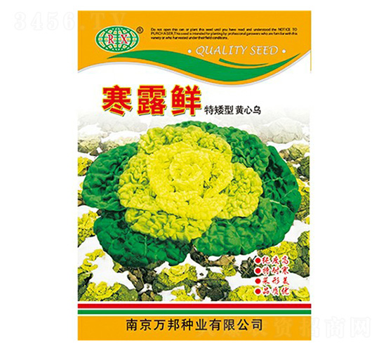 寒露鮮烏塌菜種子-萬邦種業(yè)