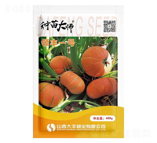 領(lǐng)豐一號(hào)-南瓜種子-大豐種業(yè)
