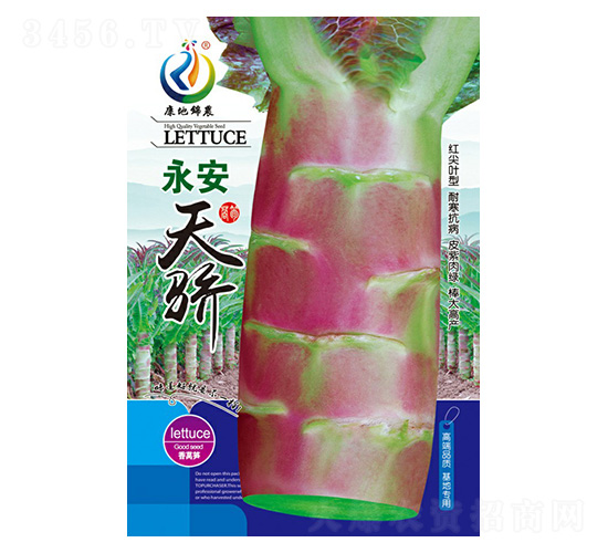 永安天驕-萵苣種子-康地科技