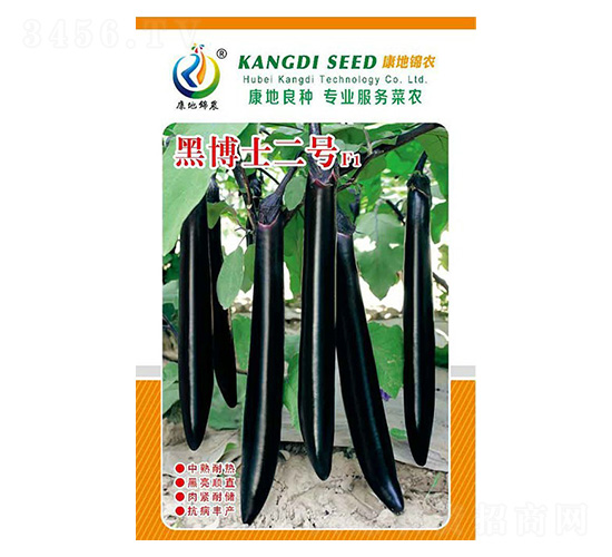 黑博士2號(hào)-茄子種子-康地科技