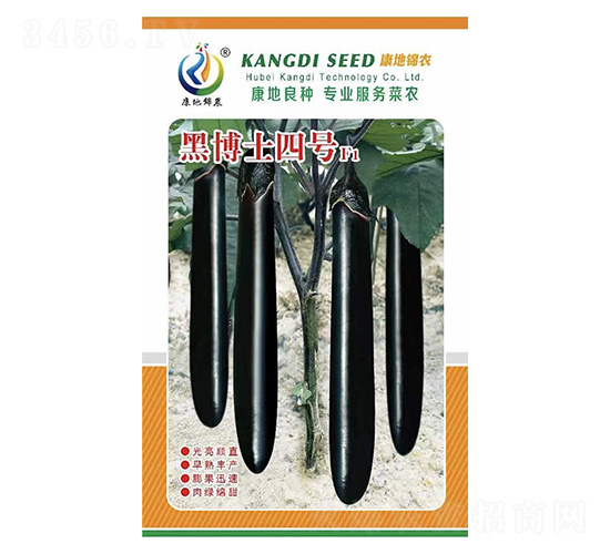 黑博士4號(hào)-茄子種子-康地科技