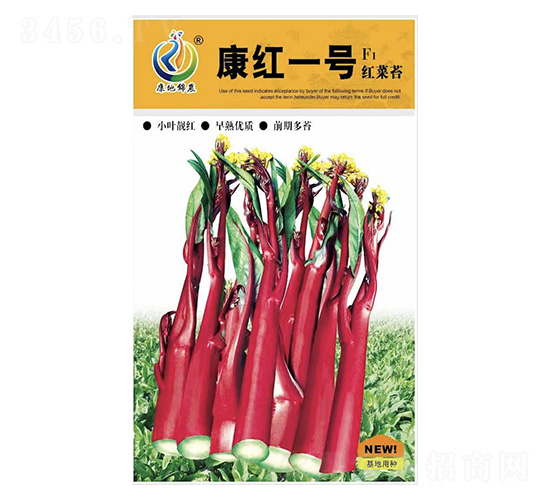 康紅—號-菜薹種子-康地科技