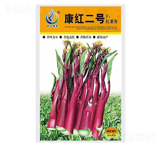 康紅二號-菜薹種子-康地科技