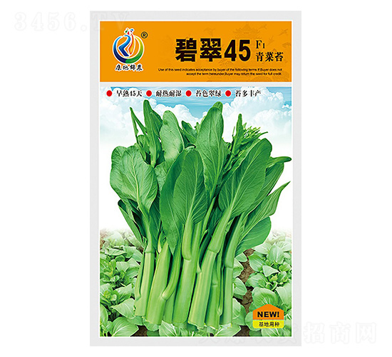碧翠45-菜薹種子-康地科技
