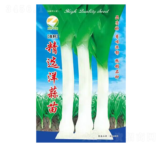 精選洋蒜苗-良籽農(nóng)業(yè)