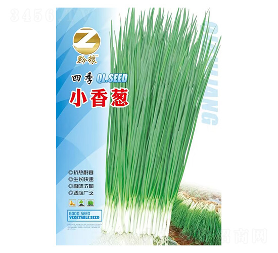 四季小香蔥-黔糧-良籽農(nóng)業(yè)