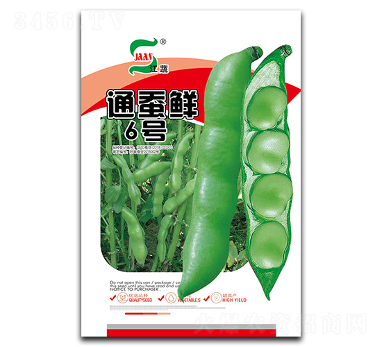通蠶鮮6號(hào)-蠶豆種子-大華種業(yè)