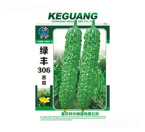 GS306-ƹN